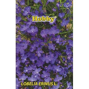 Seminte Lobelia Curgatoare Melanj HOBBY, 0.15g