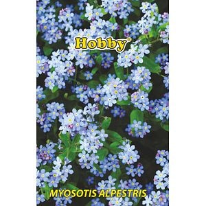 Nu Ma Uita Albastru 0.5G Plic. Hobby