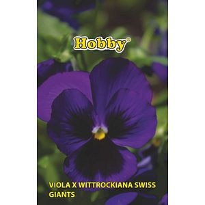 Seminte panselute, albastru  Hobby