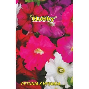 Seminte petunie  Hobby