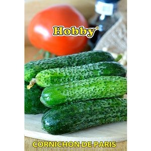 Seminte legume Castraveti Cornichon de Paris HOBBY