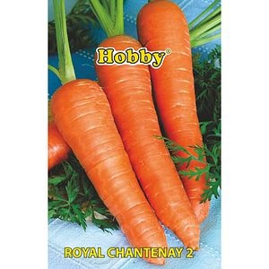 Seminte legume Morcovi Royal Chantenay HOBBY