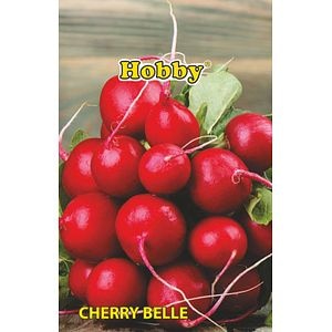 Seminte ridichi Cherry Belle  Hobby