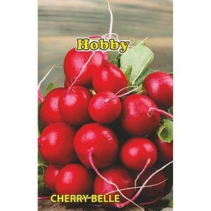 Seminte legume ridichi Cherry Belle HOBBY