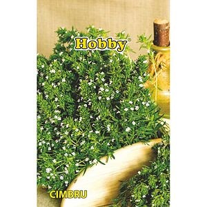 Seminte plante aromatice cimbru HOBBY