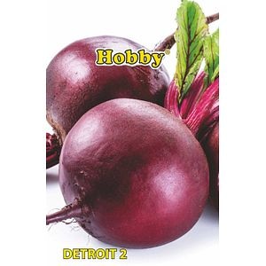 Seminte sfecla rosie Detroit AGROSEL, 2.6 g