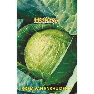 Seminte legume Varza Gloria HOBBY