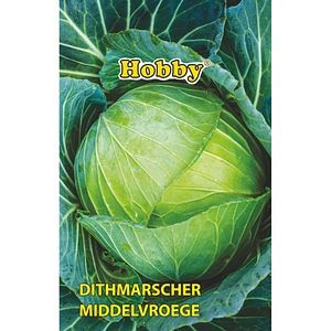 Seminte legume Varza Ditmarsker HOBBY