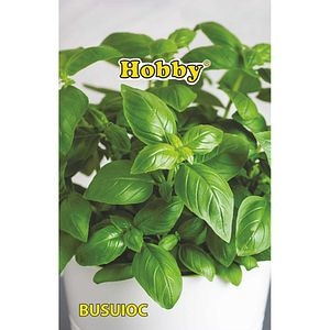 Seminte plante aromatice busuioc HOBBY, 1g