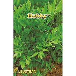 Seminte plante aromatice leustean HOBBY