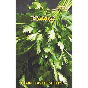Seminte plante aromatice patrunjel frunze Plain HOBBY