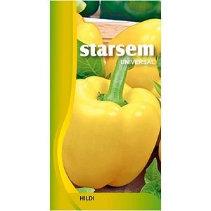 Seminte legume Ardei gras Hildi STARSEM
