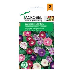 Seminte zorele melanj  Agrosel