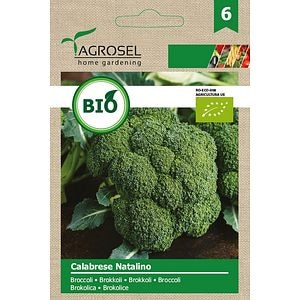 Seminte broccoli Calabrese Natalino eco AGROSEL, 5.45 g