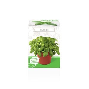 Seminte busuioc Ocimum Basilicum YURTA PROD, 135 g