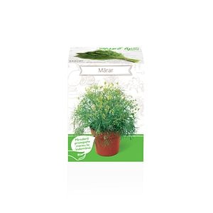 Seminte marar Anethum Graveolens YURTA PROD, 135 g