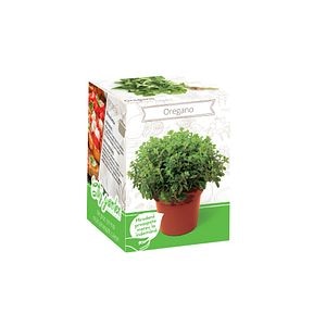 Seminte oregano YURTA PROD, 135 g