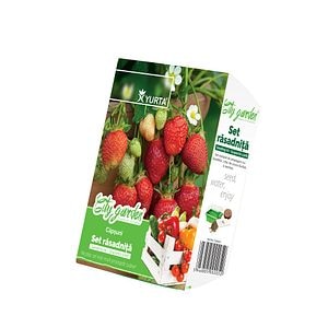 Kit rasadnita mica, capsuni  Yurta City Garden