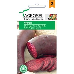 Seminte legume sfecla rosie Cylindra AGROSEL, 5g