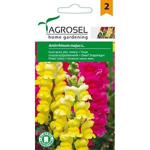 Seminte flori Gura Leului pitic AGROSEL, 1g