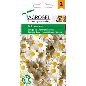 Seminte flori Banutei dublu melanj AGROSEL, 0.3 g
