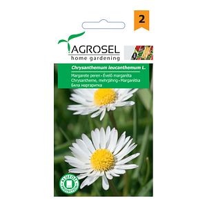 Seminte margareta, alba  Agrosel