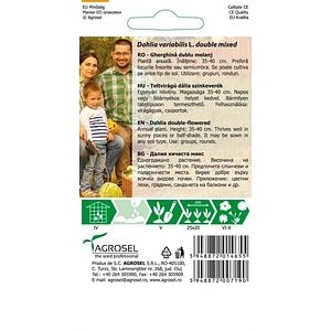 Dahlia Variabilis 1G Plic