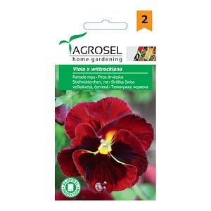 Gratulatio Viola 0.25G Plic