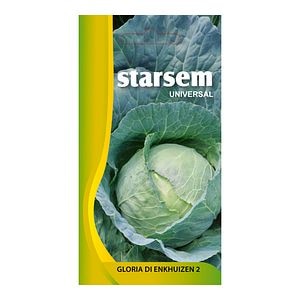 Seminte varza, Gloria • Starsem