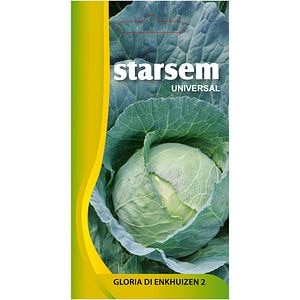 Seminte legume Varza Gloria STARSEM