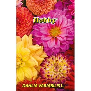 Seminte Gherghina HOBBY, multicolor