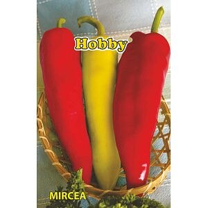 Seminte ardei lung Mircea • Hobby