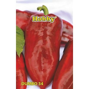 Seminte ardei Kapia Dumbo 34 • Hobby