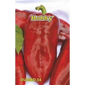 Seminte legume ardei Kapia Dumbo 34 Hobby, 0.5g