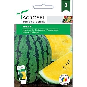 Seminte de legume Pepene verde Peace F1 Price AGROSEL, 1 plic