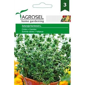 Seminte de legume Cimbru AGROSEL, 1 plic