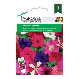 Seminte petunie pitica  Agrosel