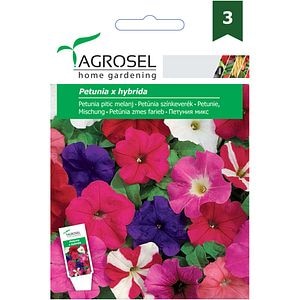 Seminte flori Petunia pitica melanj AGROSEL, 1.5g