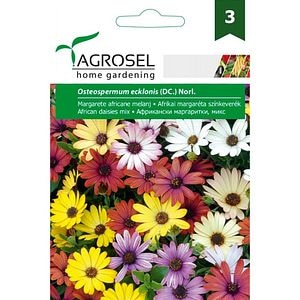 Seminte flori Margarete africane melanj AGROSEL