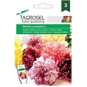 Seminte flori Garoafe Chabaud dublu melanj AGROSEL, 0.5g