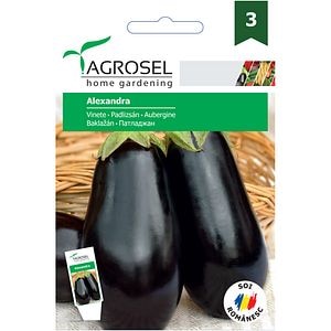 Seminte legume Vinete Alexandra AGROSEL, 2g