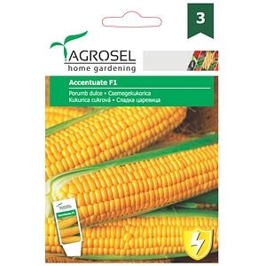 Seminte de legume Porumb dulce AGROSEL, 1 plic