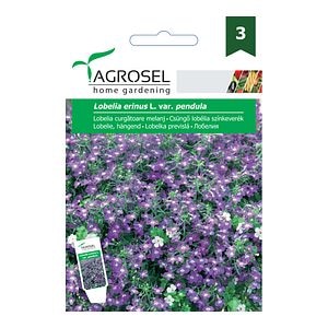Lobelia curgatoare melanj  Agrosel
