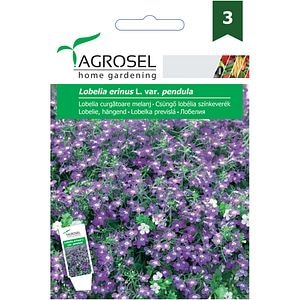 Seminte flori Lobelia curgatoare melanj AGROSEL, 0.5g