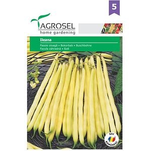 Seminte legume Fasole oloaga Ileana AGROSEL, 30g
