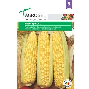 Porumb dulce Sweet Spirit • Agrosel