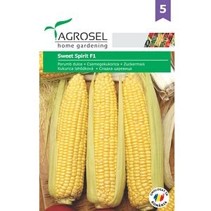Seminte de legume Porumb dulce Sweet Spirit AGROSEL, 1 plic