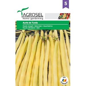 Seminte fasole aurie de Turda AGROSEL, 5.4 g