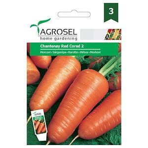 Morcovi chantenay red cored 2 • Agrosel