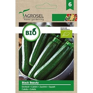 Seminte dovlecel black beauty eco AGROSEL, 4.6 g